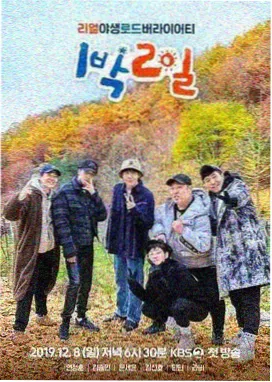 荒野厨房综艺热度